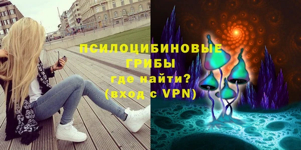 МДПВ Верхний Тагил