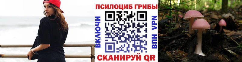 где найти Красногорск blacksprut ТОР Галлюциногенные грибы мицелий