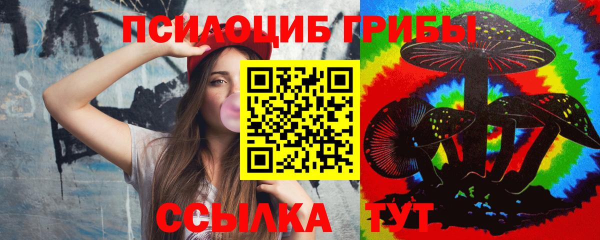 Галлюциногенные грибы Psilocybine cubensis Красногорск