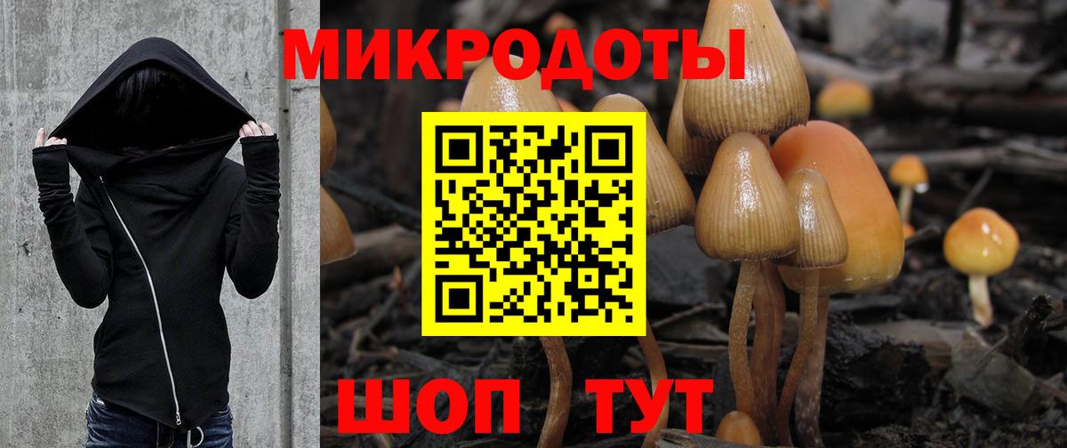 Красногорск  Псилоцибиновые грибы ЛСД  Вход с VPN 