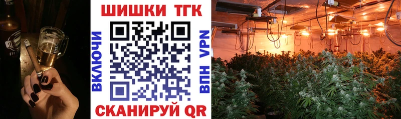 где купить наркоту  блэк спрут вход  Каннабис индика  Красногорск 